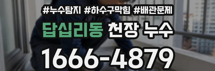 답십리동 천장 누수
