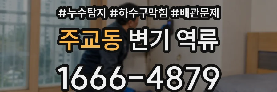 주교동 변기 역류