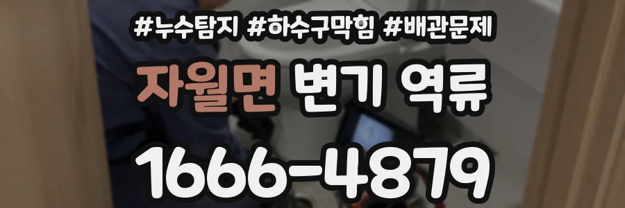 자월면 변기 역류