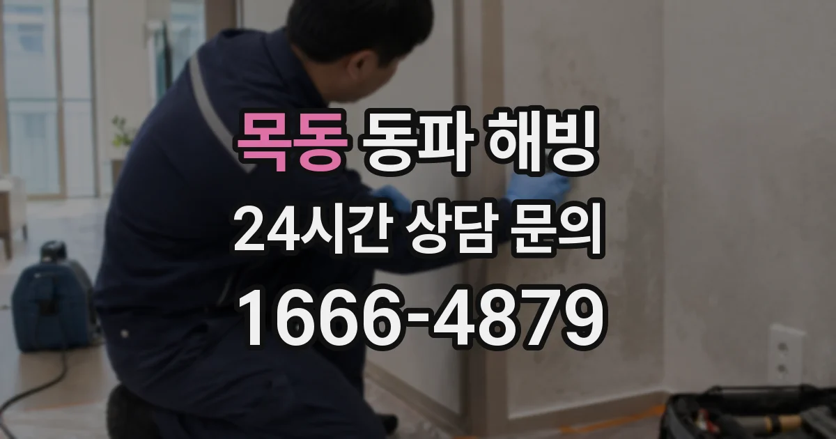 목동 동파 해빙