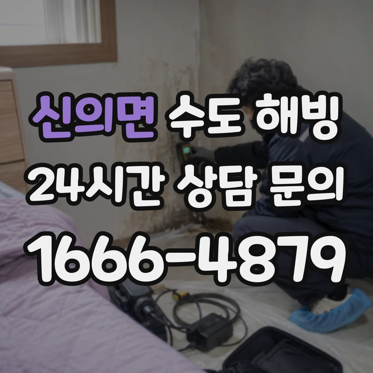 신의면 수도 해빙