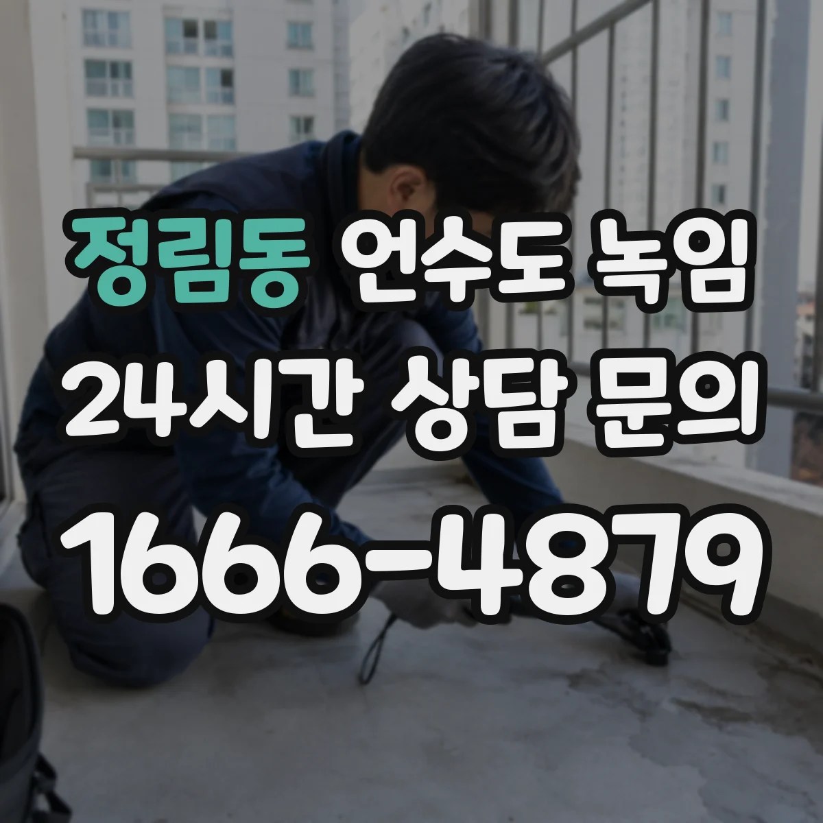 정림동 언수도 녹임