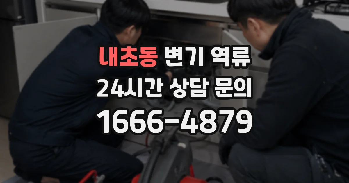 내초동 변기 역류