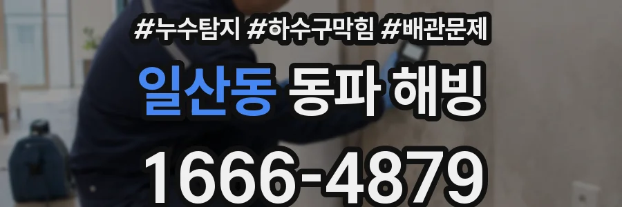 일산동 동파 해빙
