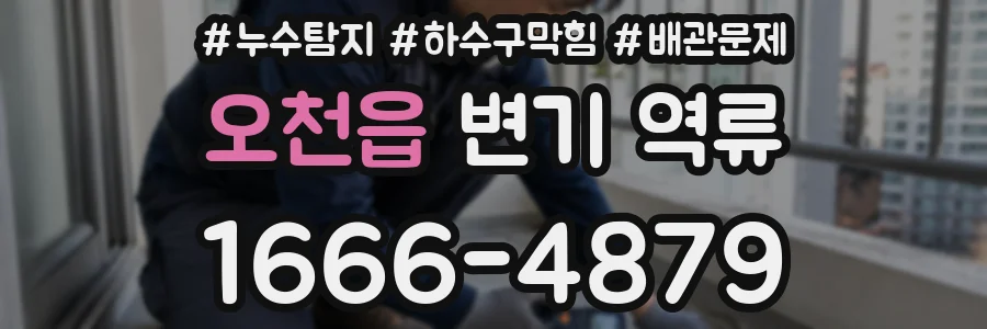 오천읍 변기 역류