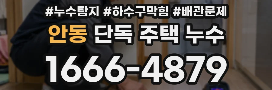 안동 단독 주택 누수