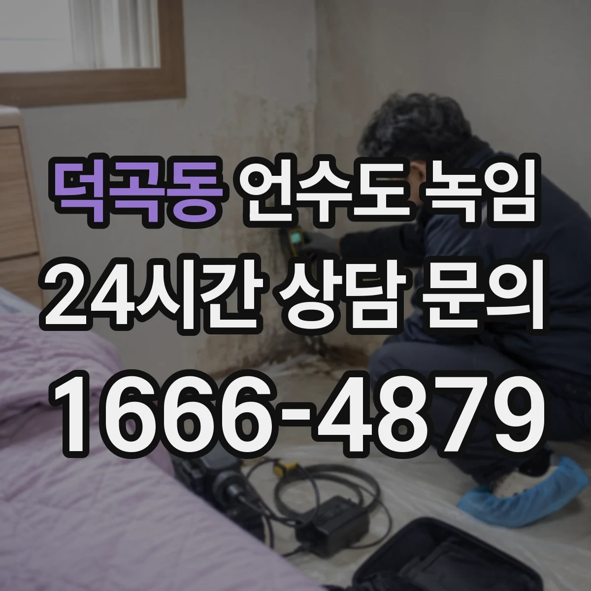 덕곡동 언수도 녹임