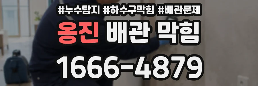 옹진 배관 막힘