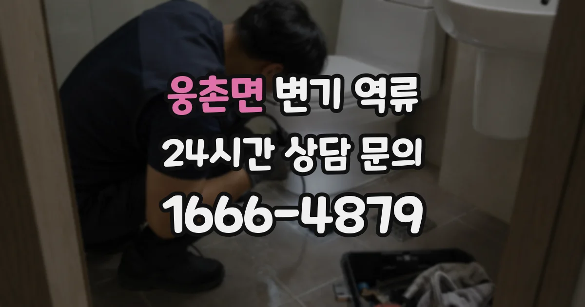 웅촌면 변기 역류