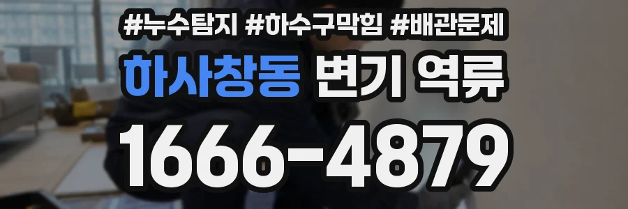 하사창동 변기 역류