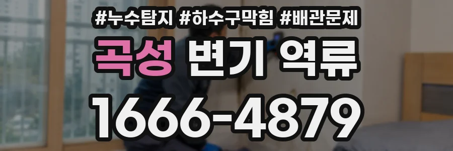 곡성 변기 역류
