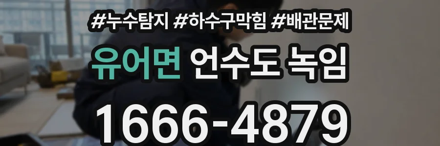 유어면 언수도 녹임
