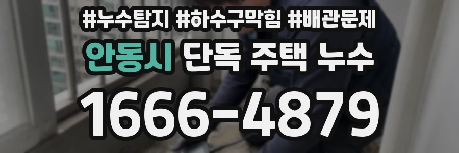 안동시 단독 주택 누수