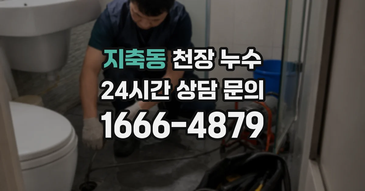 지축동 천장 누수