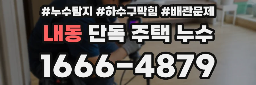 내동 단독 주택 누수