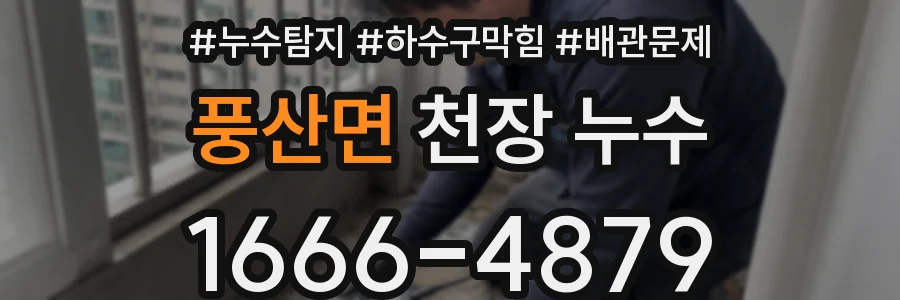 풍산면 천장 누수