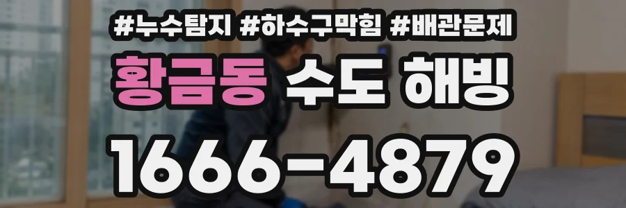 황금동 수도 해빙