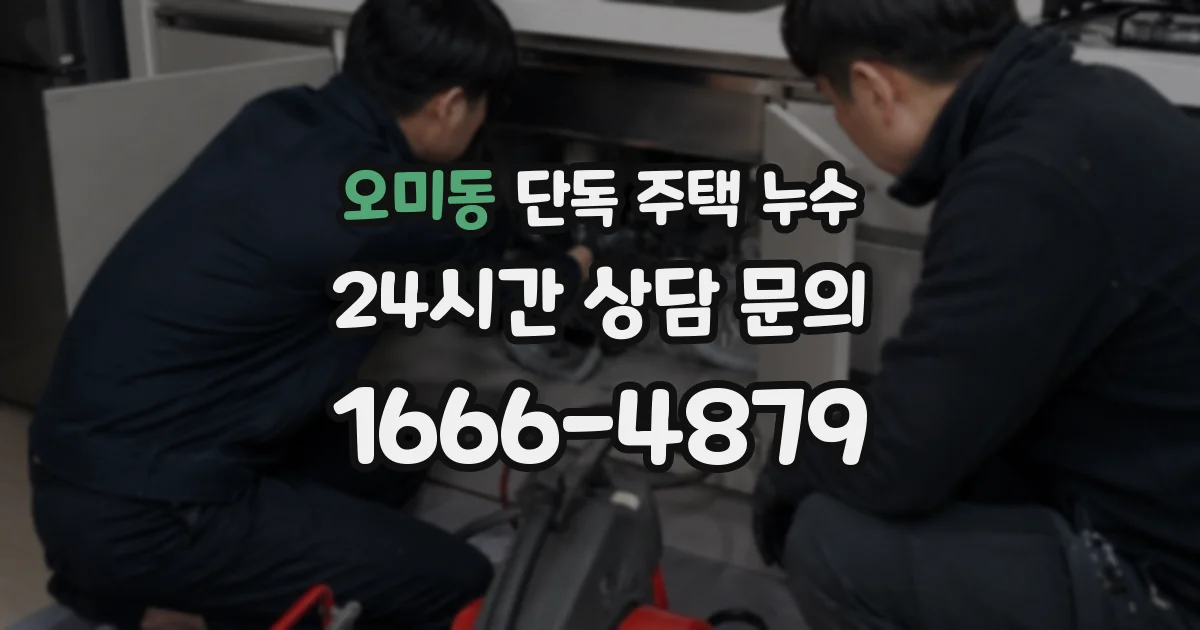오미동 단독 주택 누수