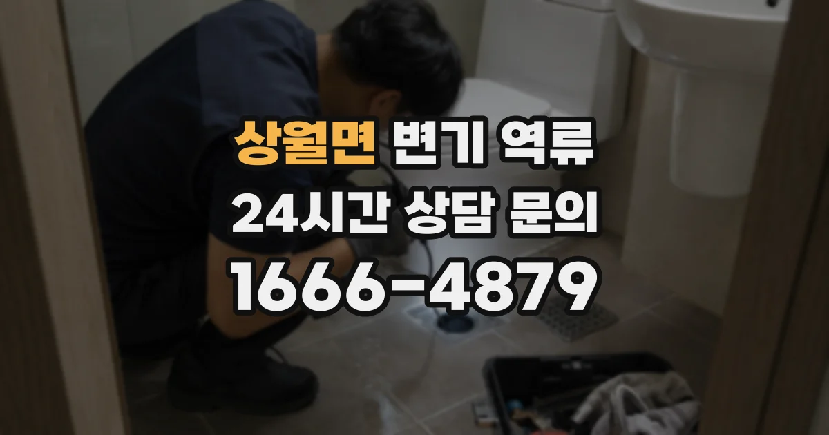상월면 변기 역류