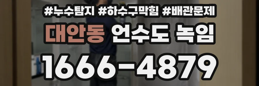 대안동 언수도 녹임