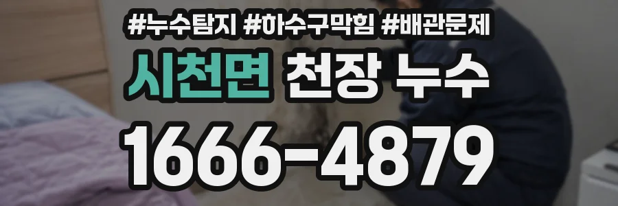 시천면 천장 누수