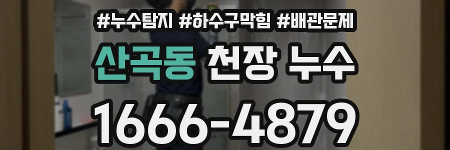 산곡동 천장 누수