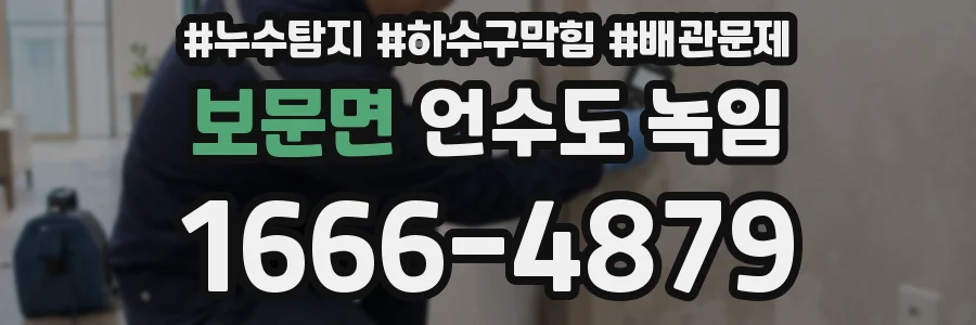 보문면 언수도 녹임