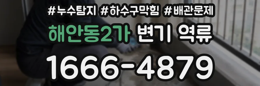 해안동2가 변기 역류