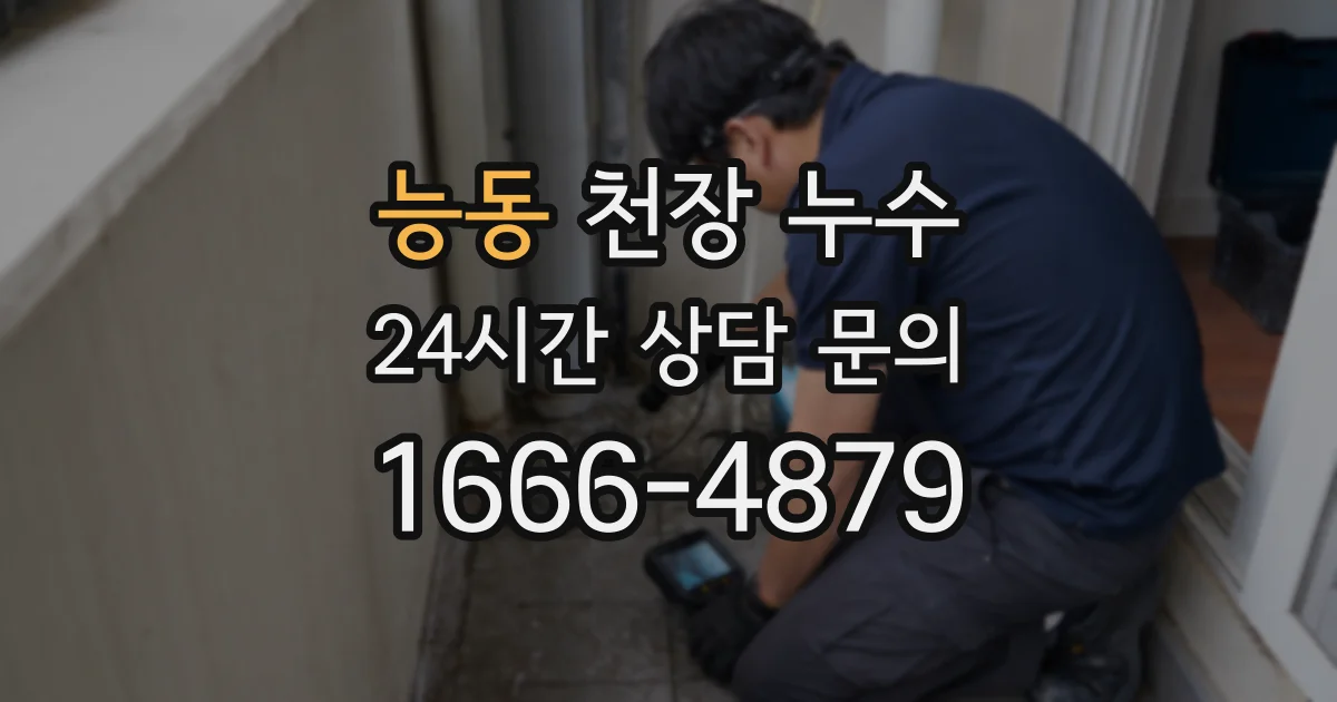 능동 천장 누수