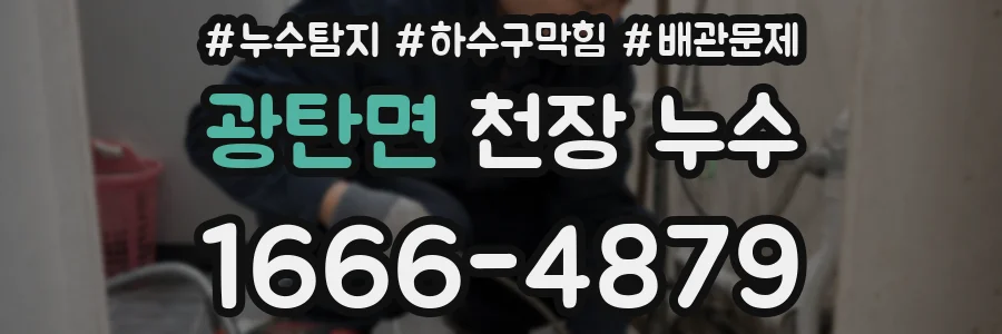 광탄면 천장 누수