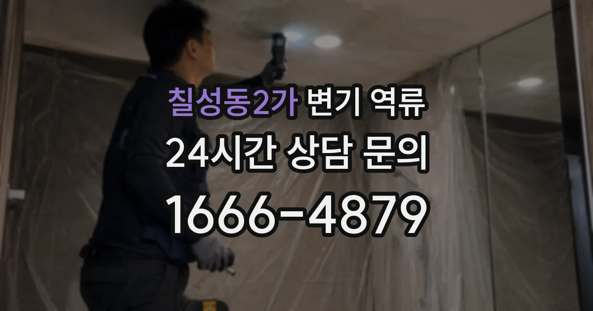 칠성동2가 변기 역류