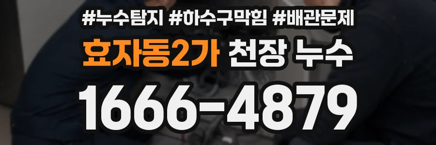 효자동2가 천장 누수