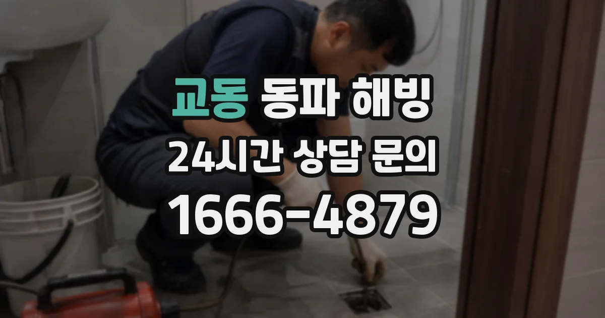교동 동파 해빙