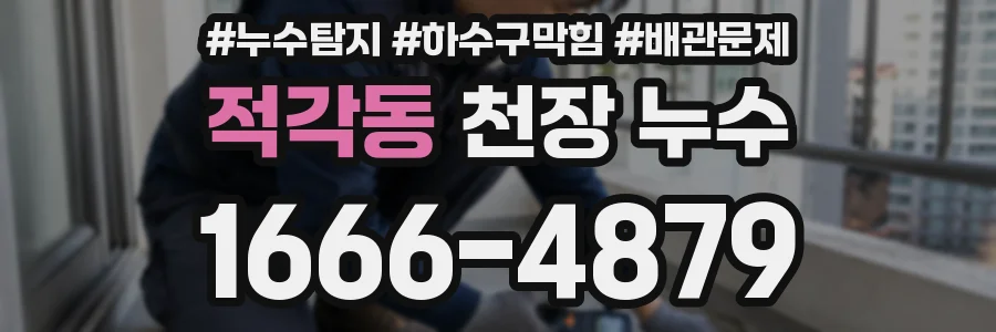 적각동 천장 누수