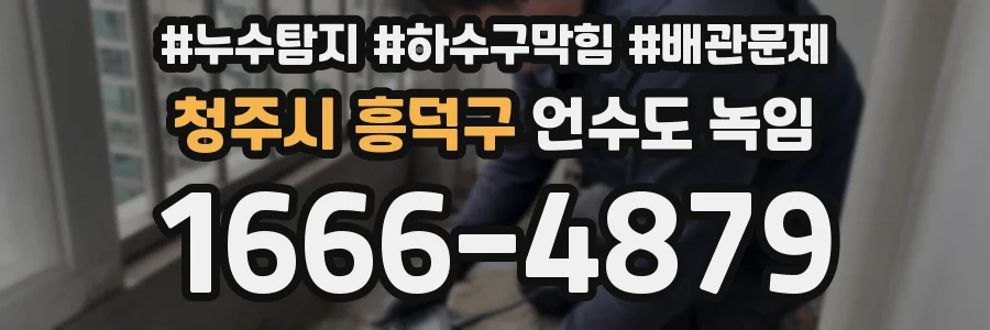 청주시 흥덕구 언수도 녹임