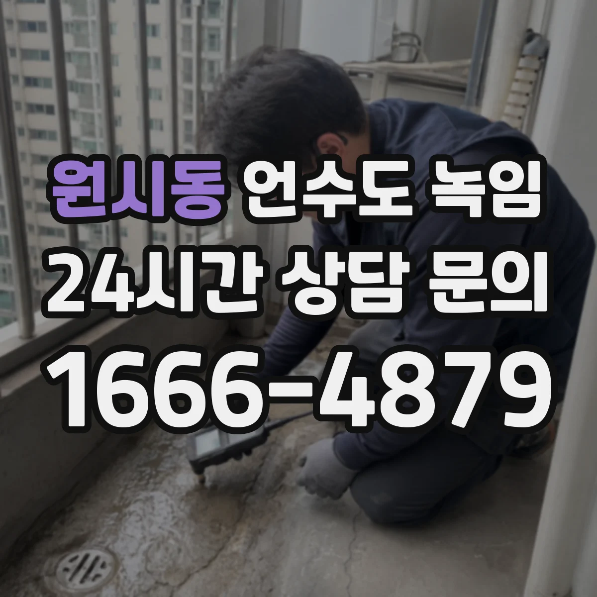 원시동 언수도 녹임
