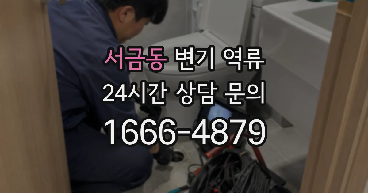 서금동 변기 역류
