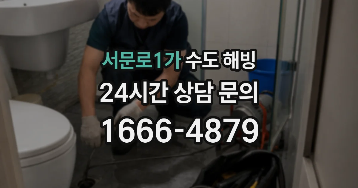 서문로1가 수도 해빙