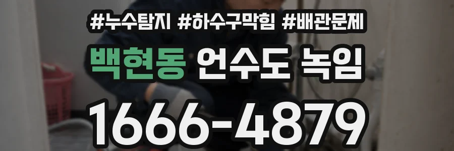 백현동 언수도 녹임