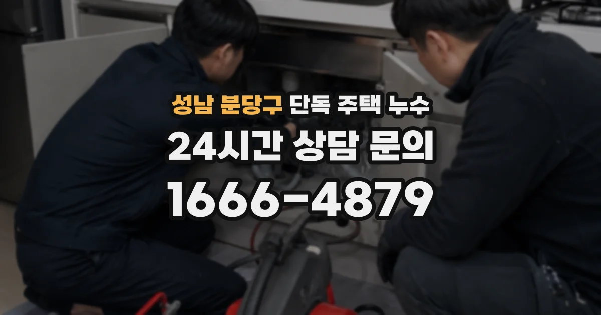성남 분당구 단독 주택 누수