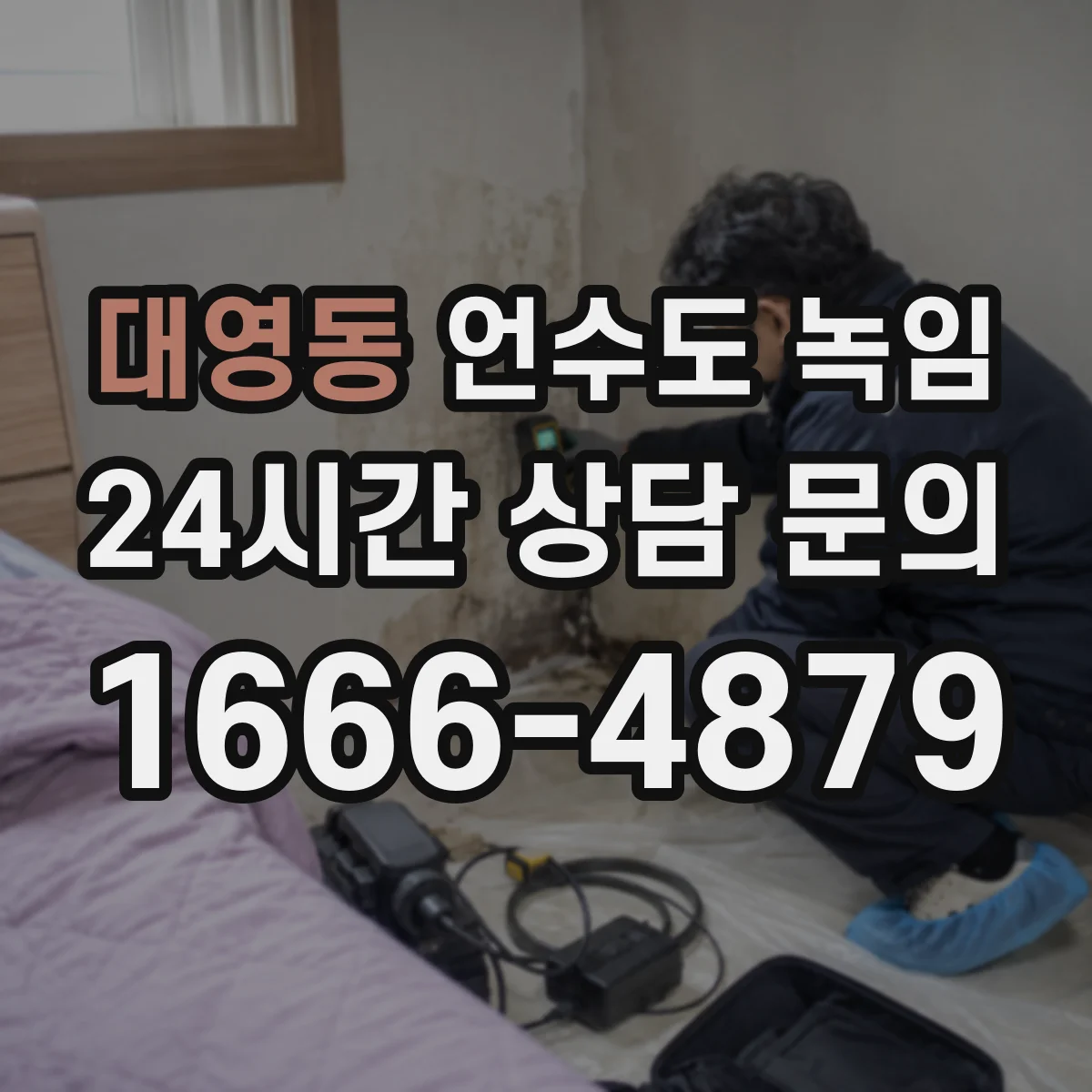 대영동 언수도 녹임