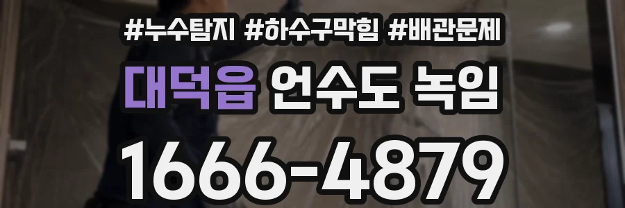 대덕읍 언수도 녹임