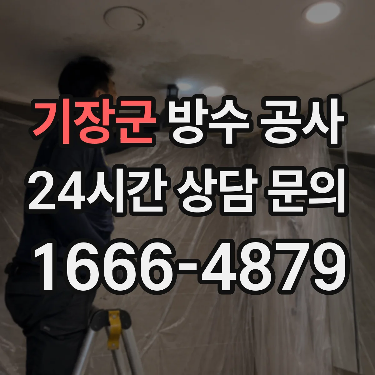 기장군 방수 공사 바닥 방수 vs 벽체 방수 견적 항목 차이