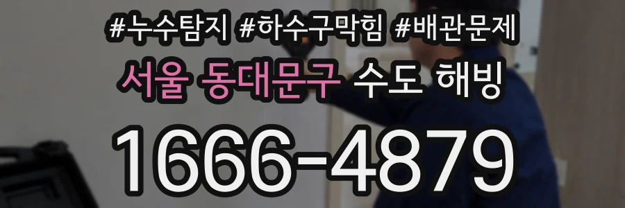 서울 동대문구 수도 해빙