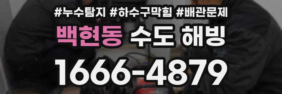 백현동 수도 해빙