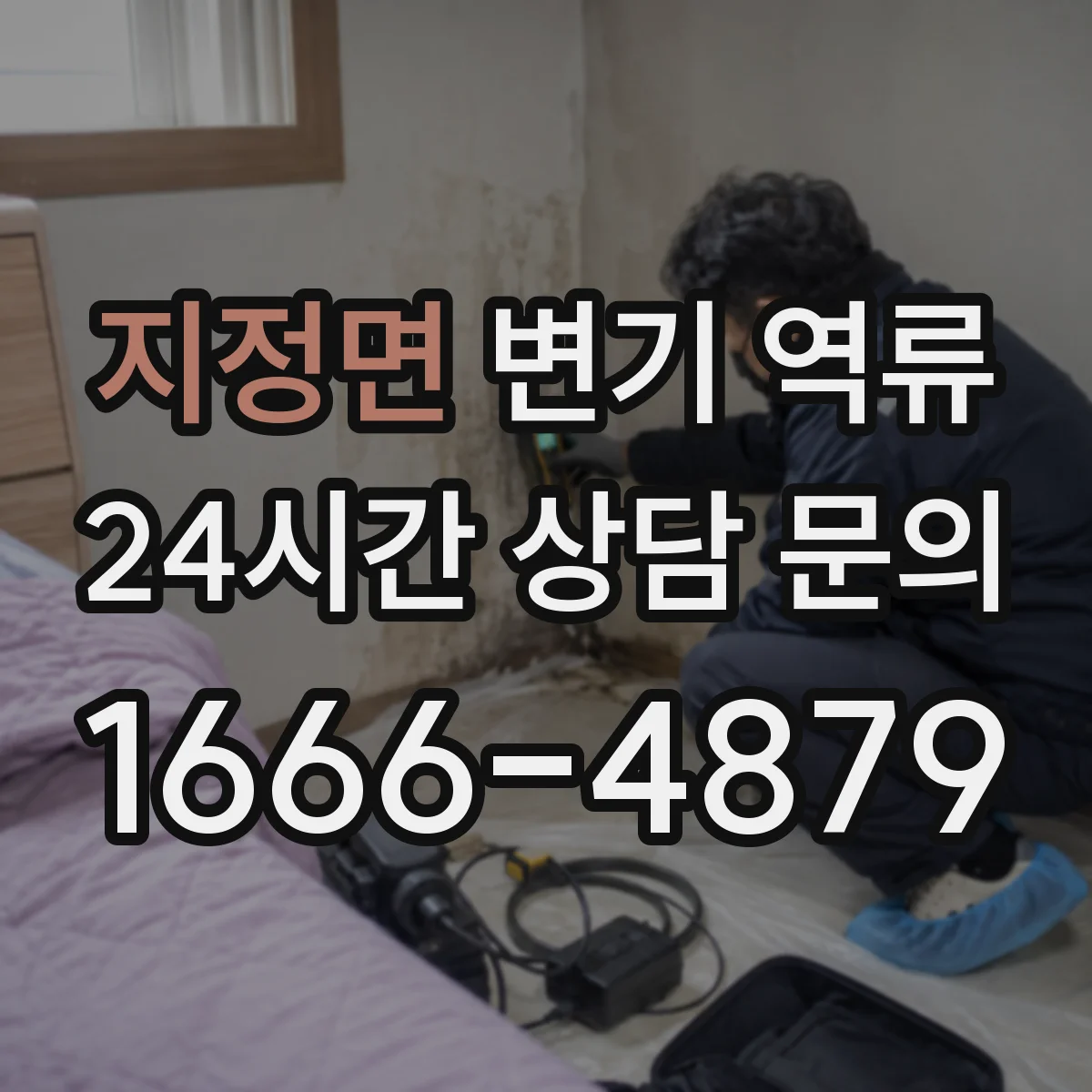 지정면 변기 역류