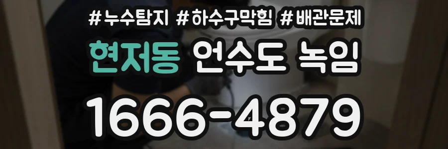 현저동 언수도 녹임