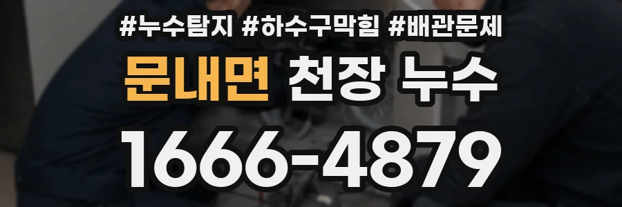 문내면 천장 누수
