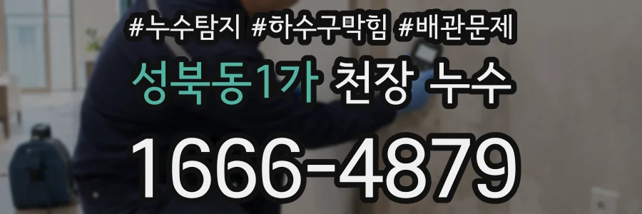 성북동1가 천장 누수