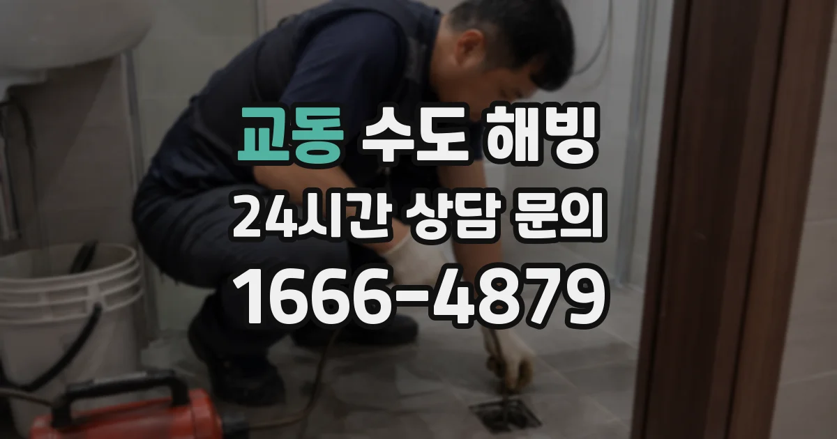 교동 수도 해빙